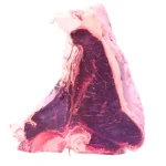 Bistecca alla Fiorentina cruda con osso a T, taglio spesso e ricco di carne, ideale per cottura tradizionale alla brace.