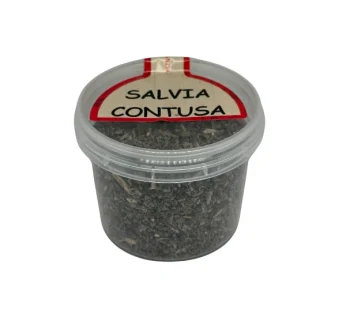 Salvia Contusa