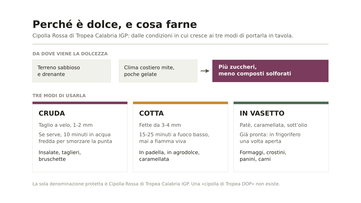 Cipolla Rossa di Tropea ricette: perché è dolce e come usarla in cucina