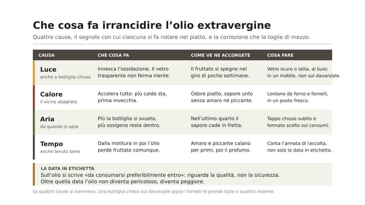 Quanto dura l’olio extravergine di oliva e come conservarlo perché non irrancidisca
