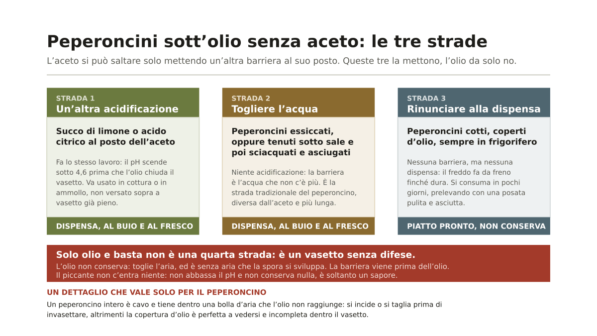 Peperoncini sott’olio senza aceto: i passaggi che contano per farli in sicurezza