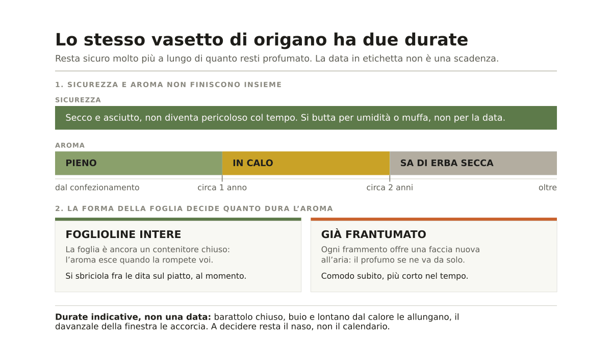 Quanto dura l’origano secco, e come conservarlo perché non perda aroma
