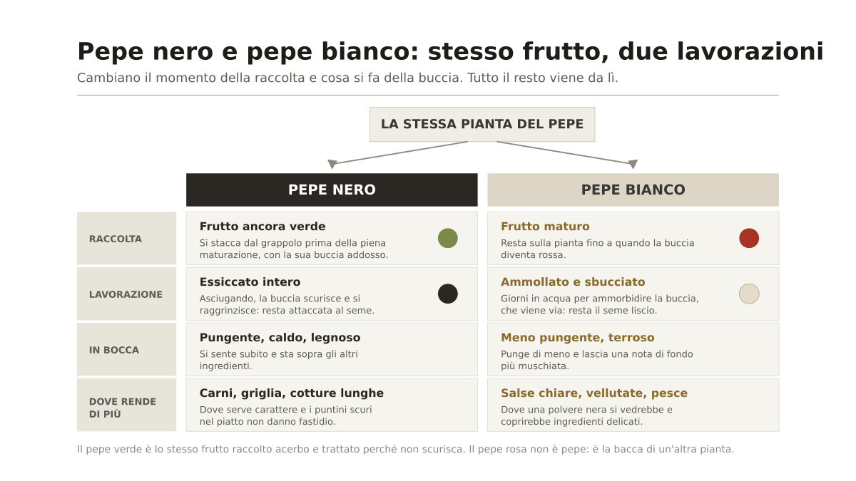 Differenza pepe bianco e nero: quale scegliere e quando usarli